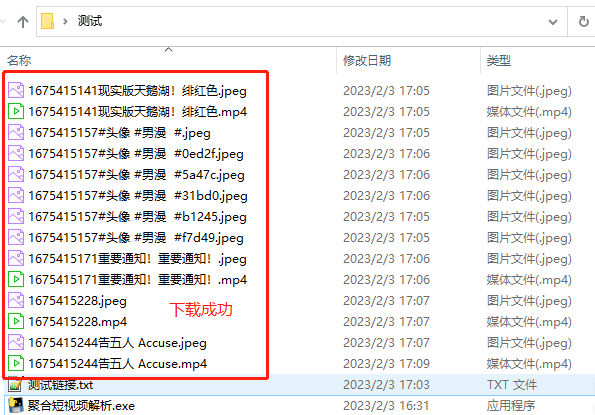 聚合短视频解析V1.0版本-支持国内外众多短视频平台 - 小轻秀场