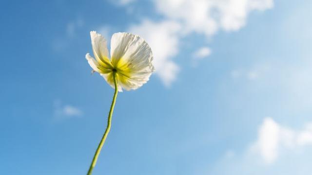 戏说台湾百度云资源「1080p超清」云网盘下载 - 小轻秀场