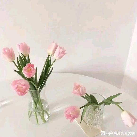 台剧《金家好媳妇》百度云无删减【完整HD1080p超清】云网盘 - 小轻秀场