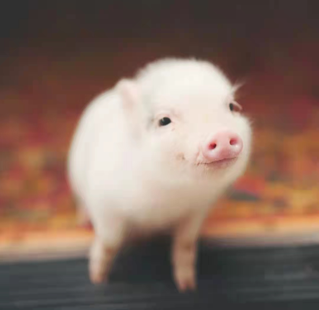 用户73427088的头像 - 小轻秀场